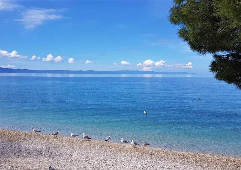 Apartmani Mirona - Tucepi Luaran gambar