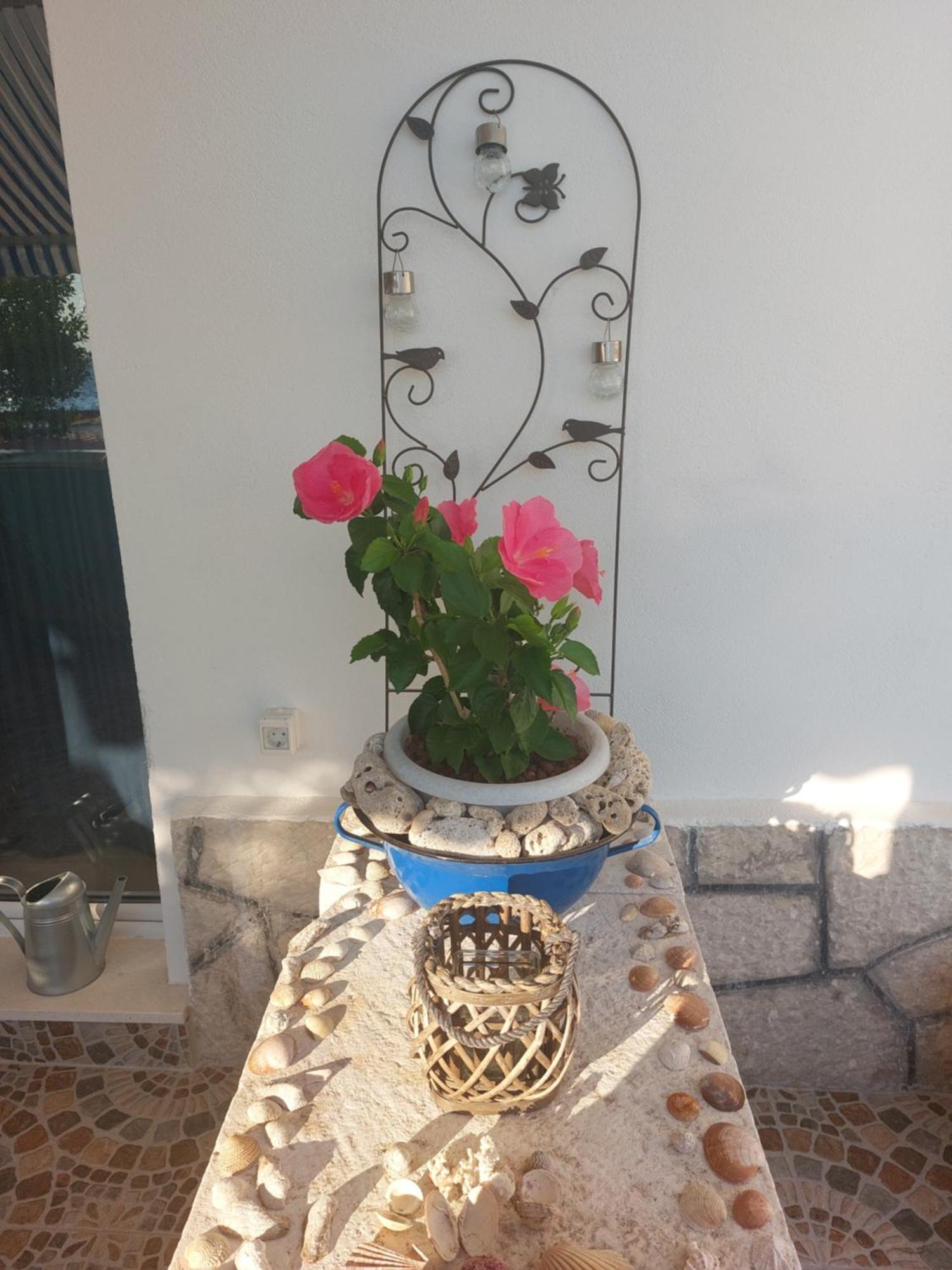 Apartmani Mirona - Tucepi Luaran gambar